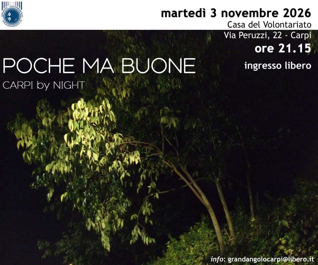 Gruppo Fotografico Grandangolo BFI - APS 2 2026 11 03 Poche Ma Buone Carpi By Night